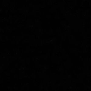 Meet your Posher, Kiesha